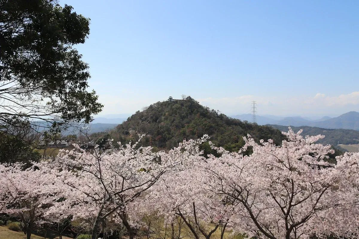Hiroshima City Forest Park multi-purpose open space 4