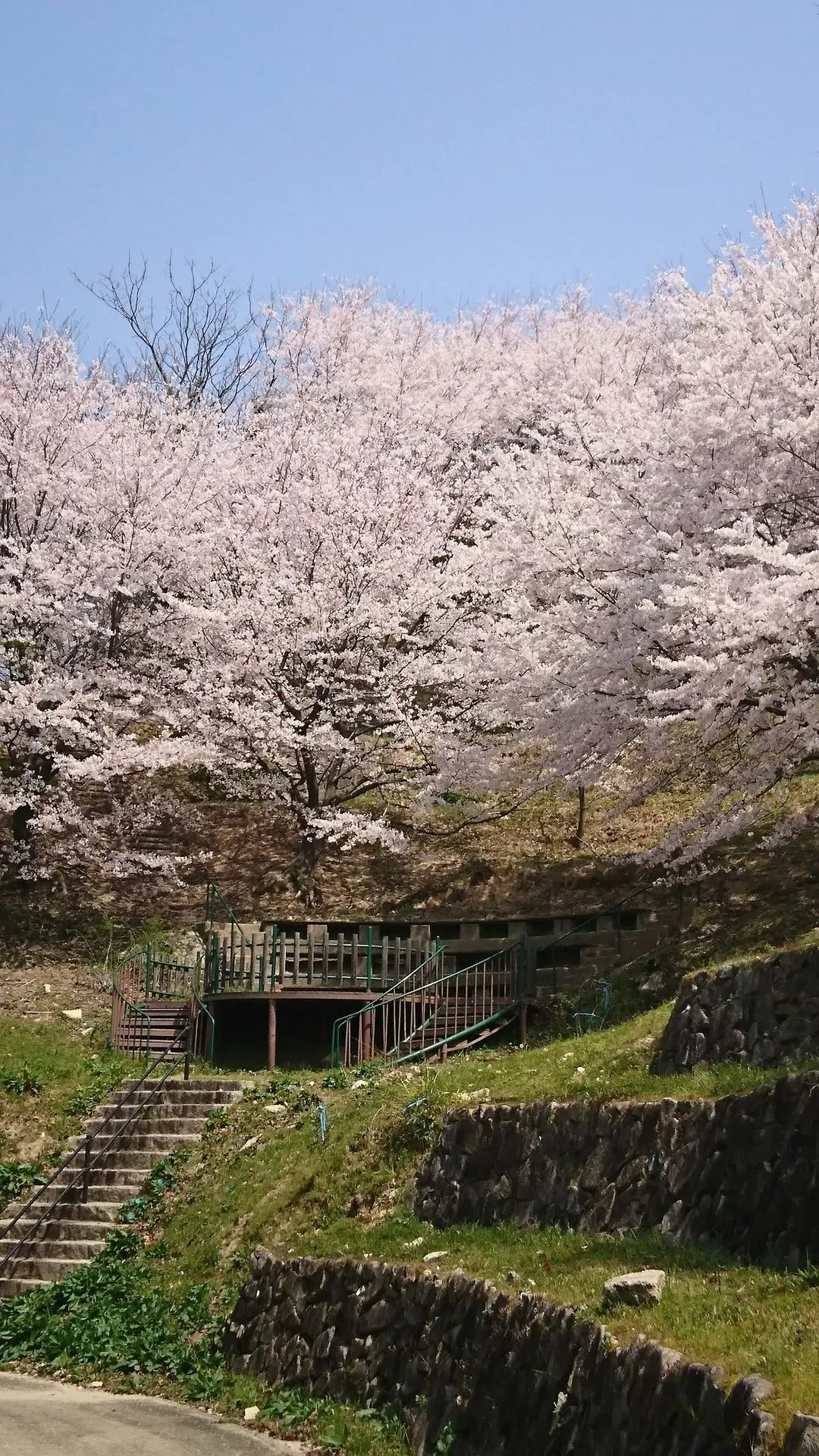 牛田総合公園遊歩道 3