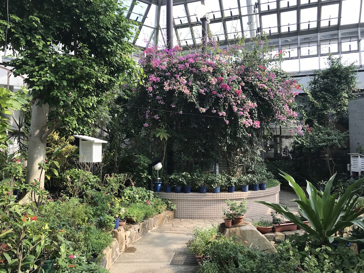 Hiroshima City Forest Park Insectarium 4
