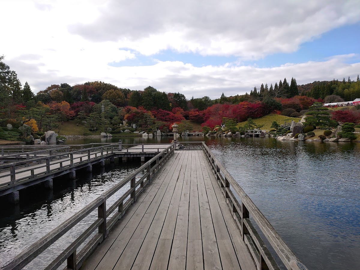 Central Forest Park 2