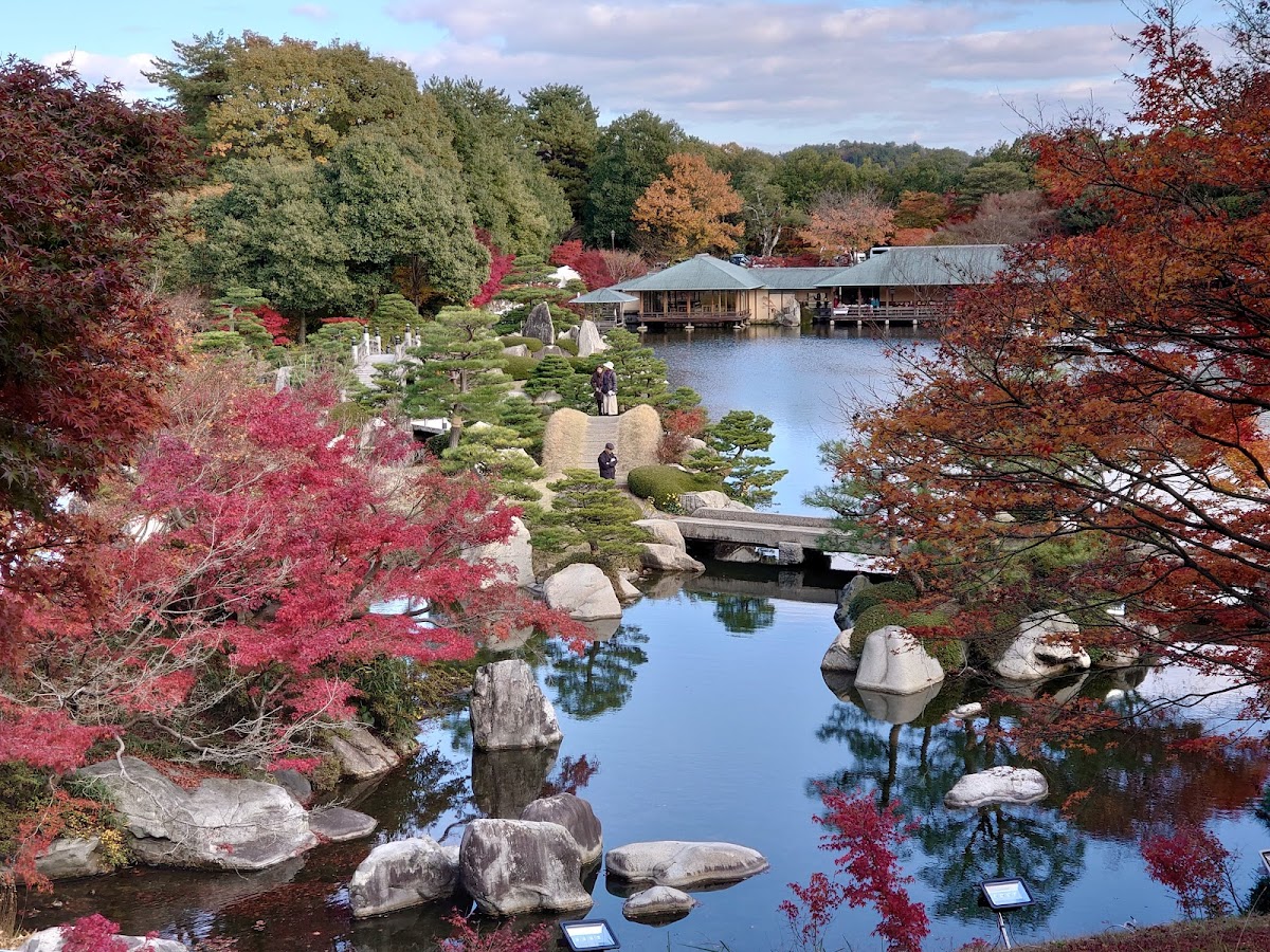 Central Forest Park 3