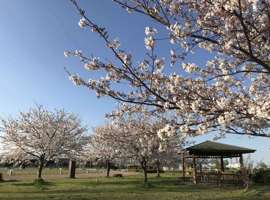 Hiroshima Minato Park 3