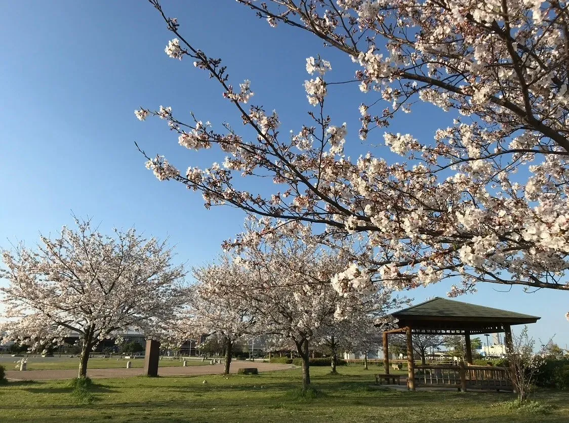 Hiroshima Minato Park 3