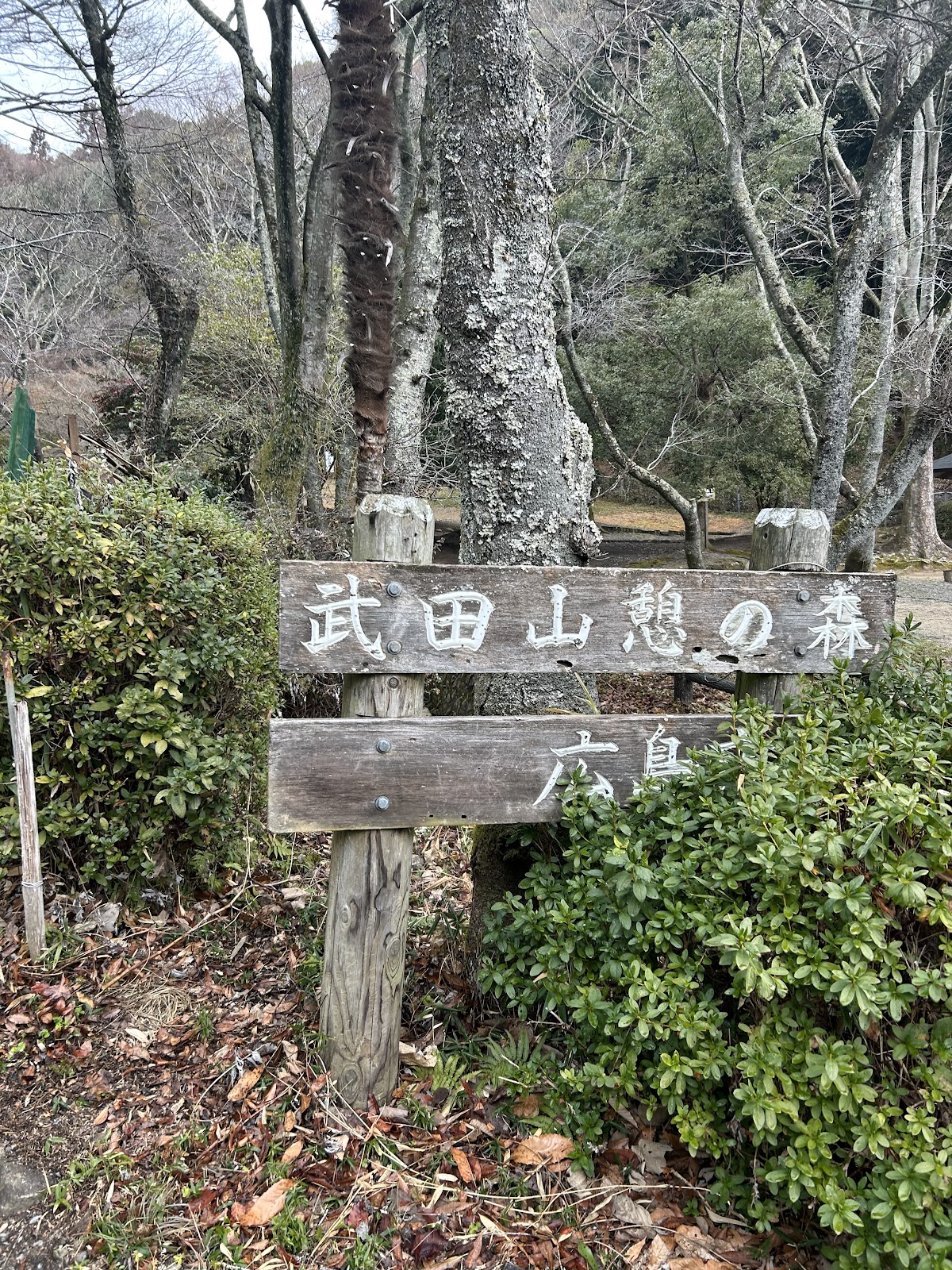 武田山憩の森 3