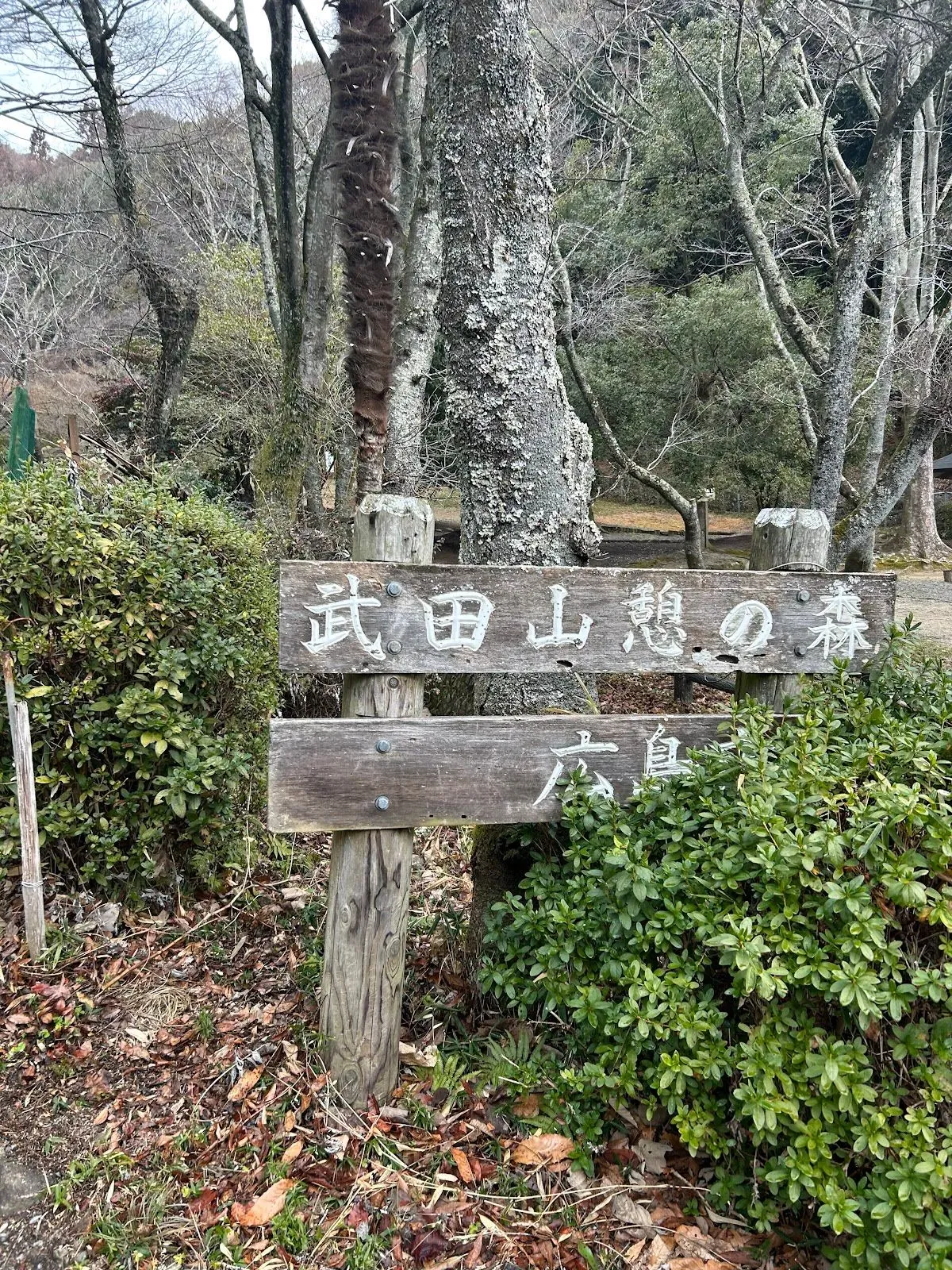 武田山憩の森 3