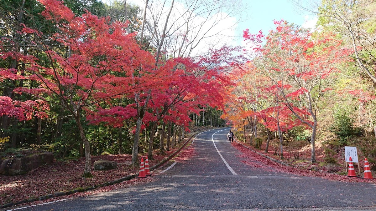 Mikuradake Prefectural Natural Park 4
