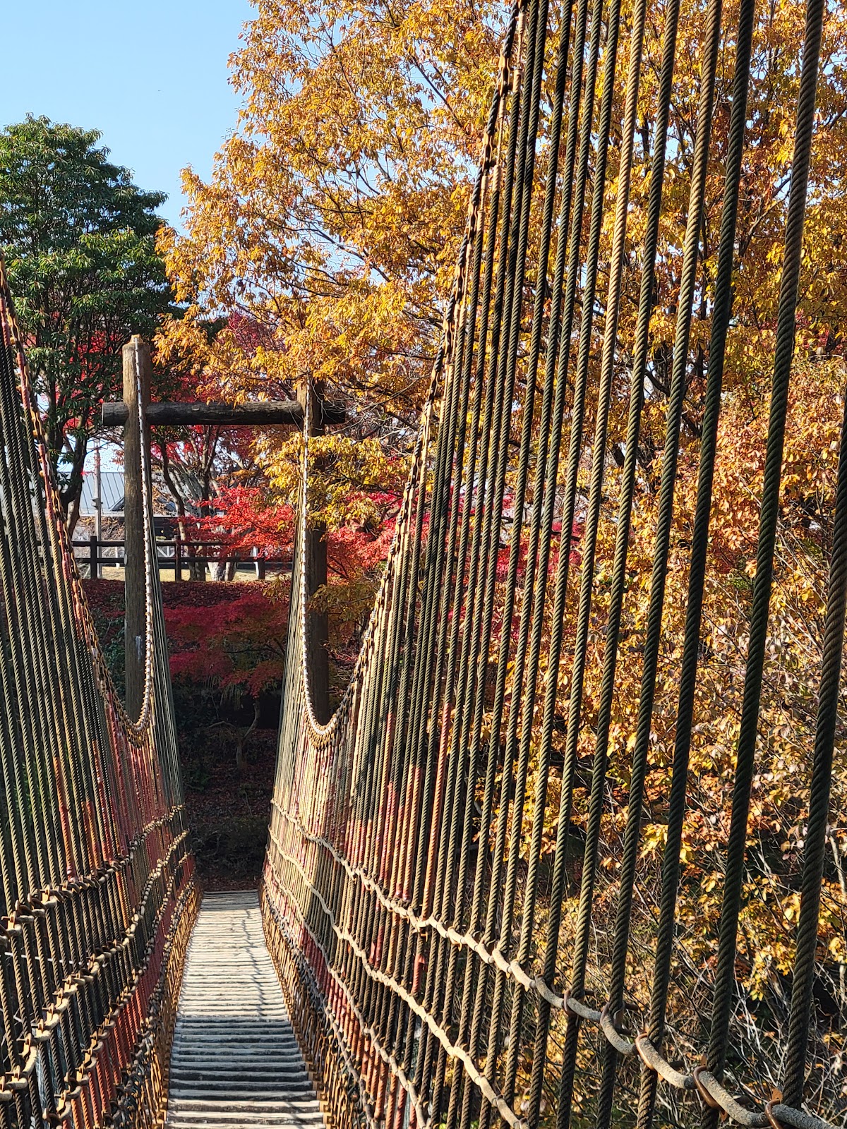 広島市森林公園