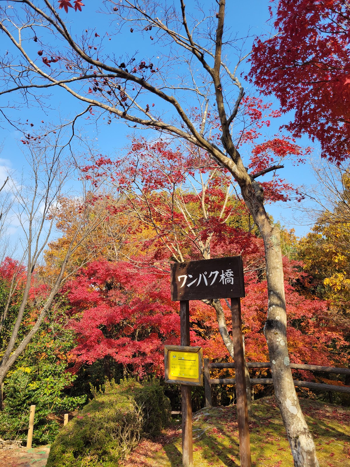 広島市森林公園 2