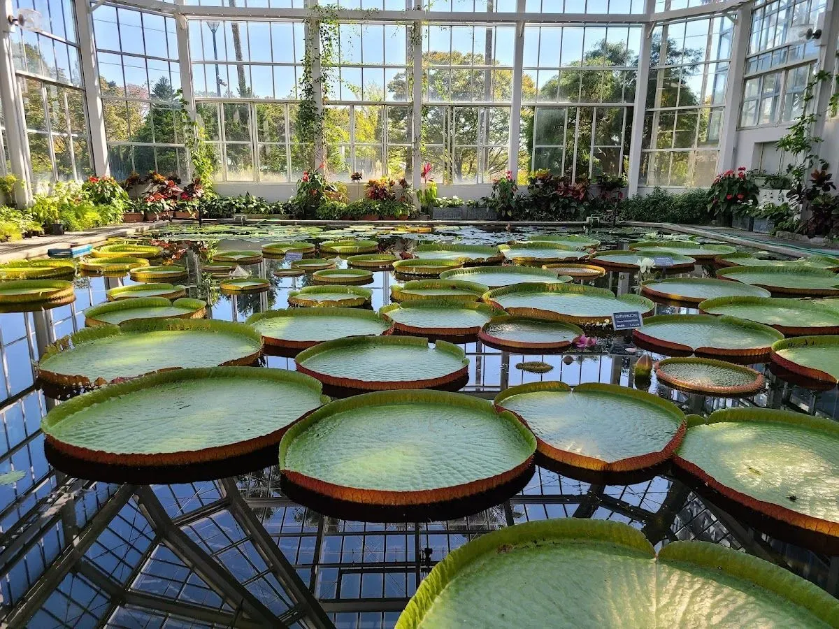 Hiroshima Botanical Garden 2