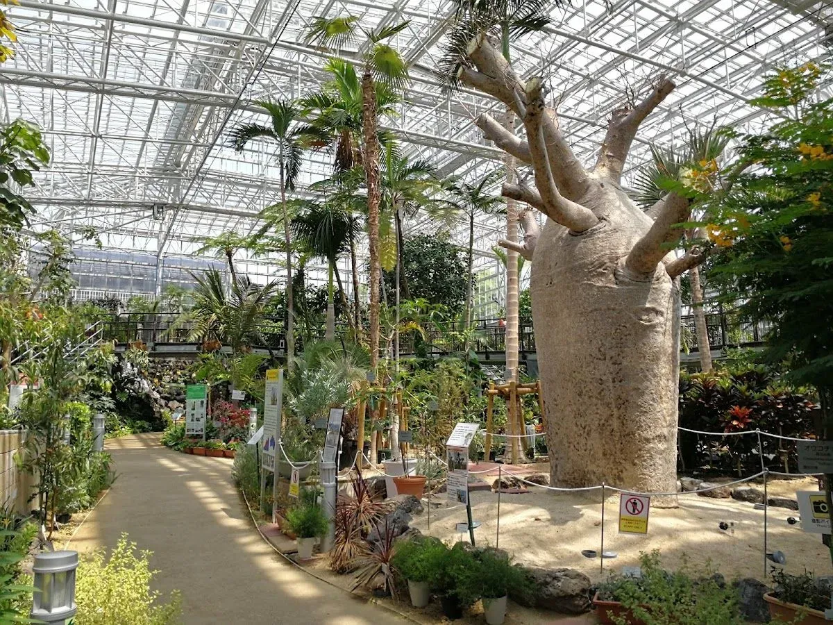 Hiroshima Botanical Garden 4