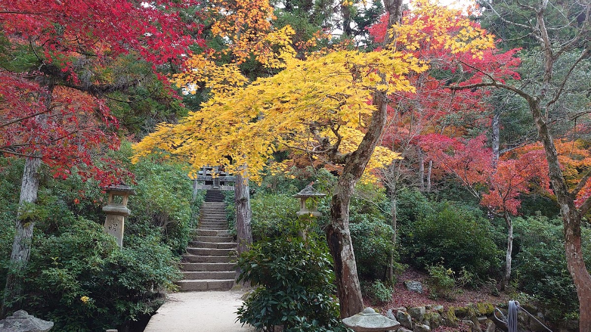 Momijidani Park 2