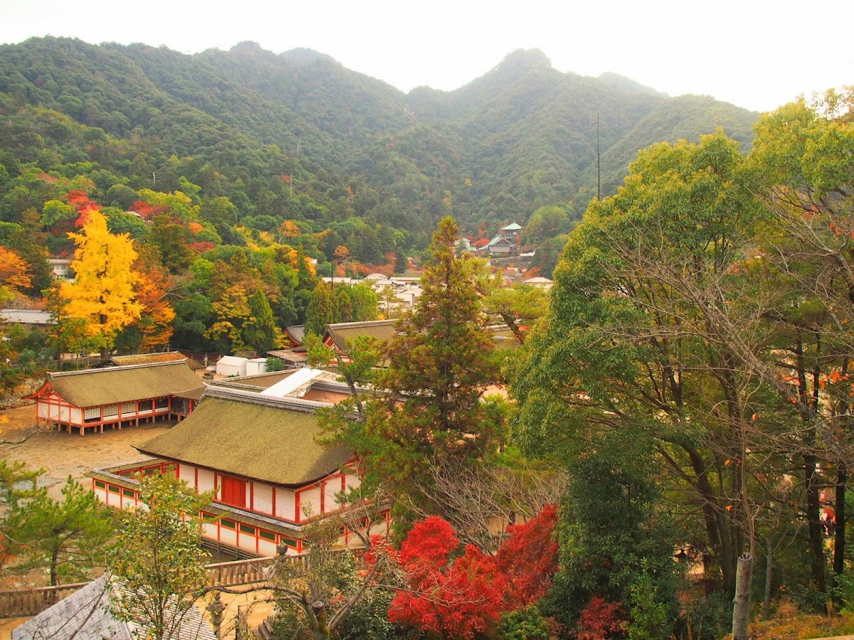 Momijidani Park 3