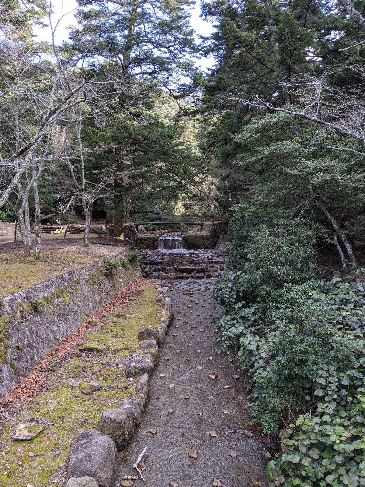 Omoto Park