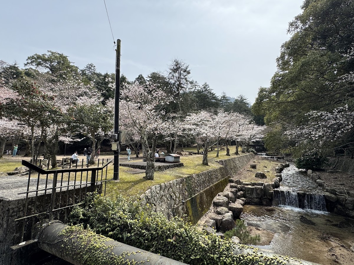 Omoto Park 2