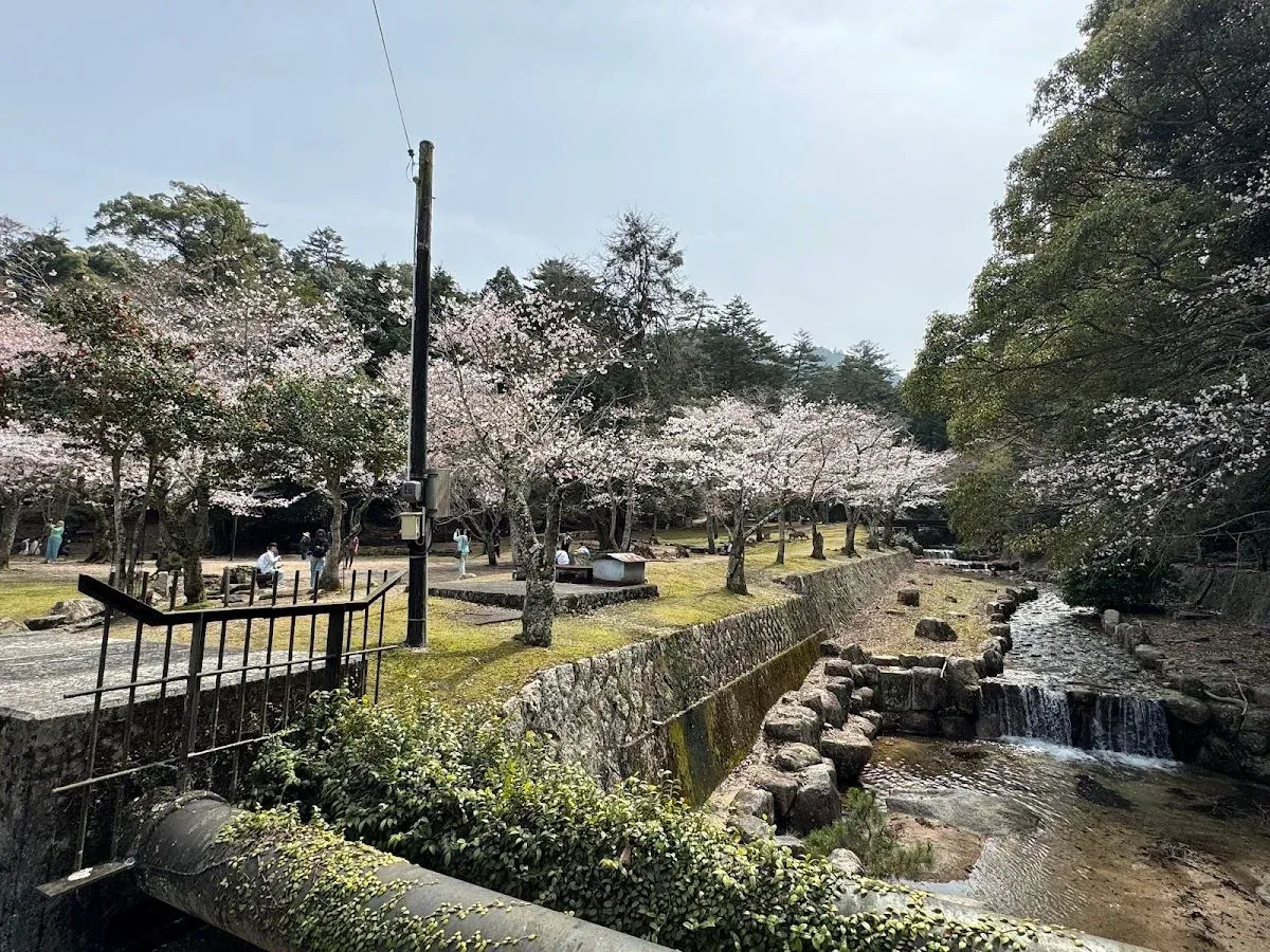 Omoto Park 2