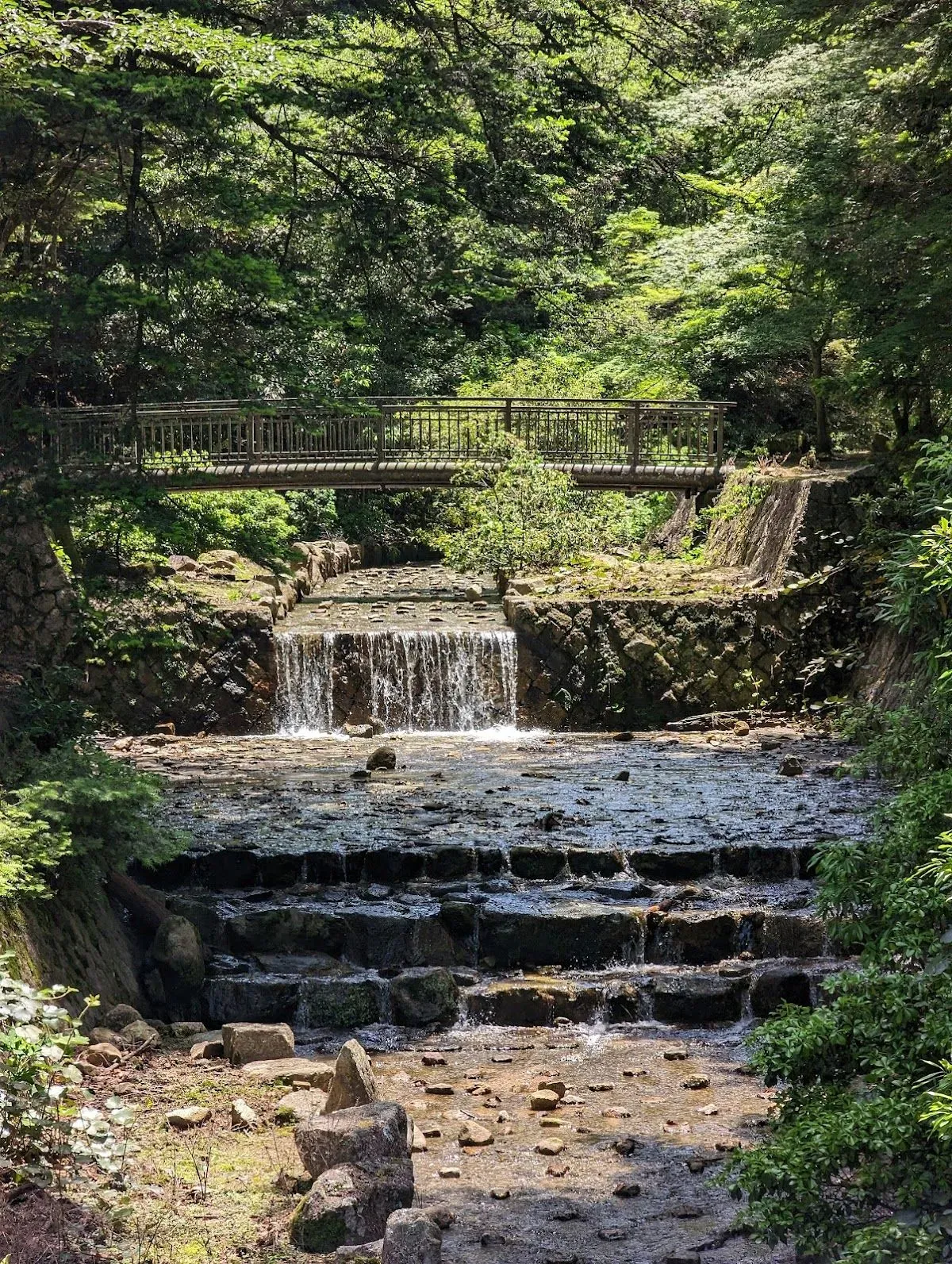 Omoto Park 3