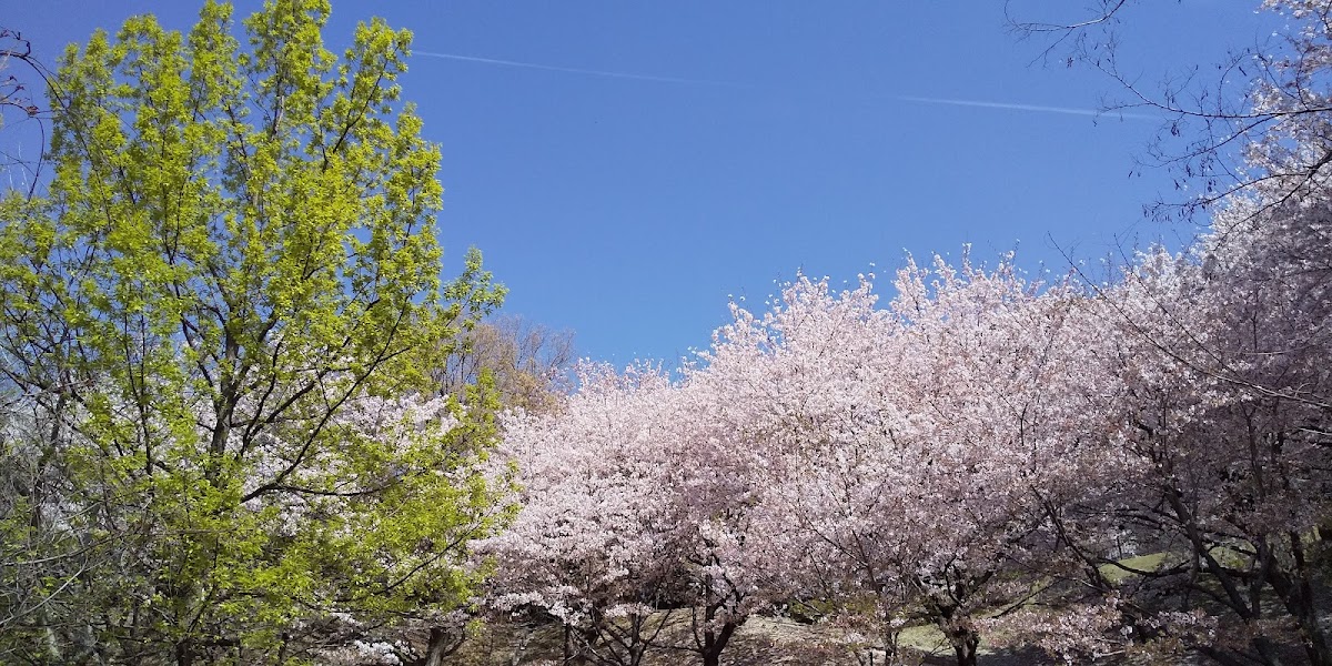 Ushita Sogo-Koen
