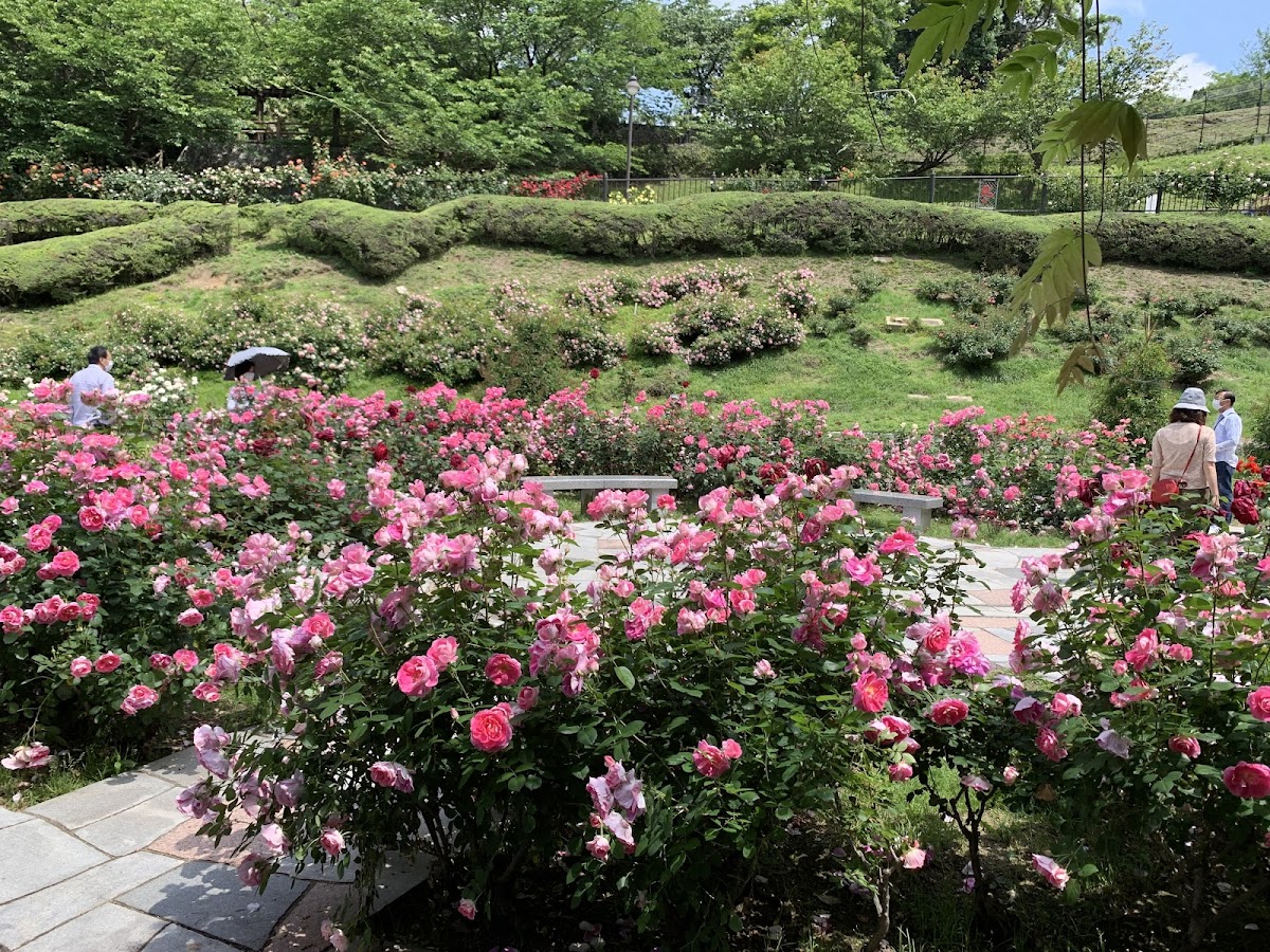 Ushita Sogo-Koen 4
