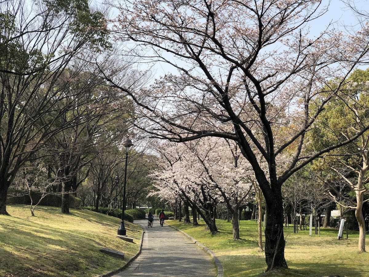 Peace forest