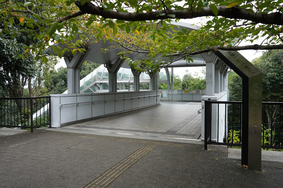 Hijiyama Skywalk 2