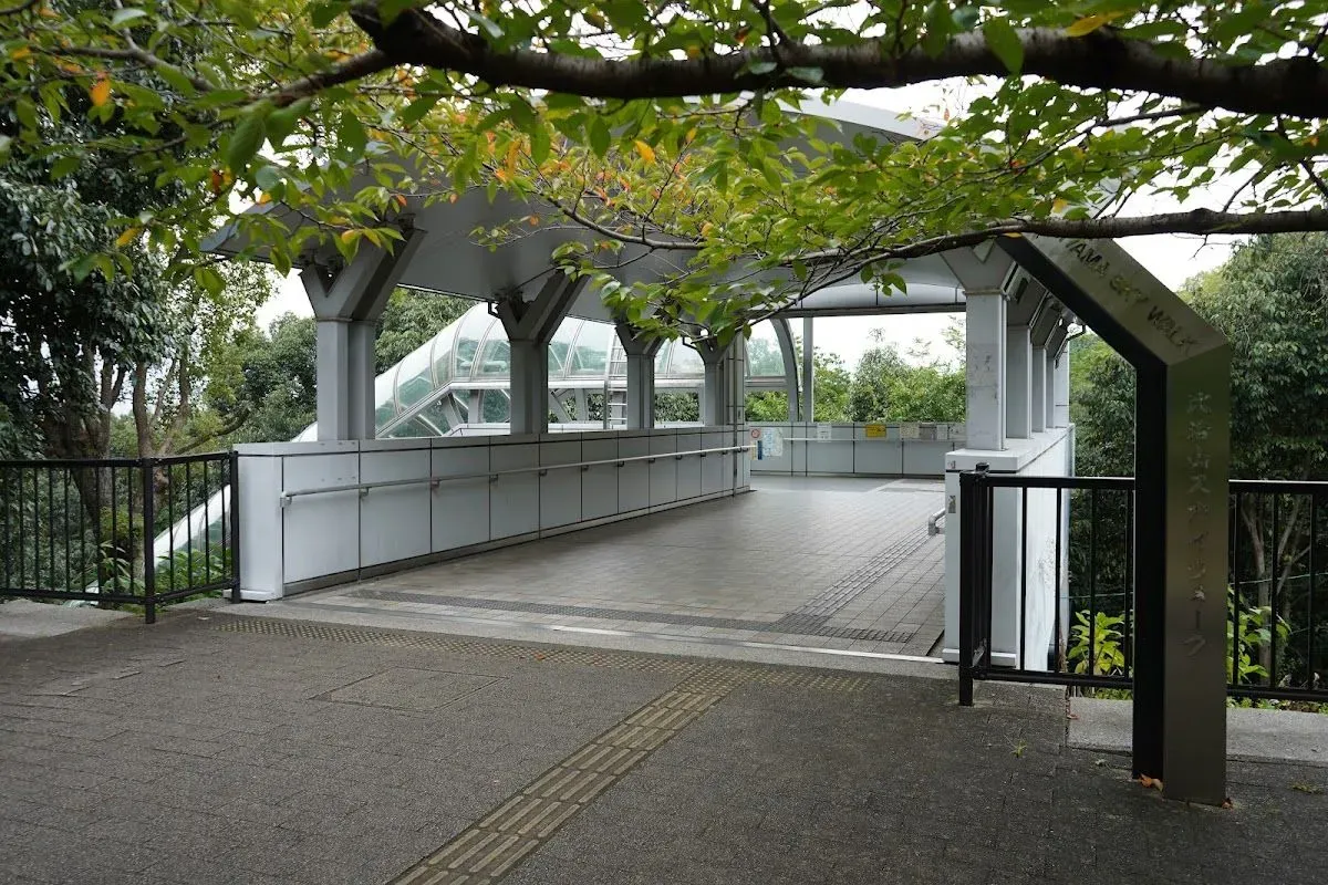 Hijiyama Skywalk 2