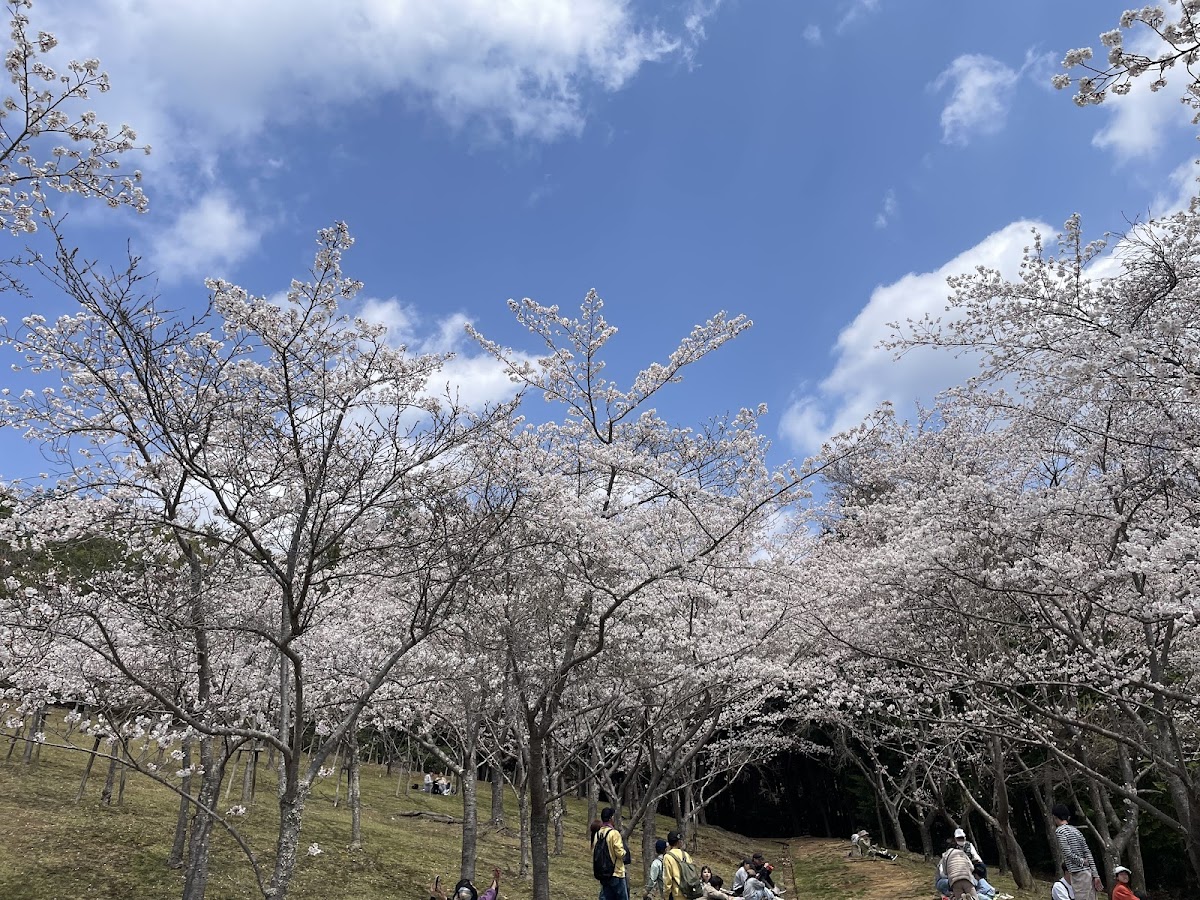 Ikoinomori Park 2