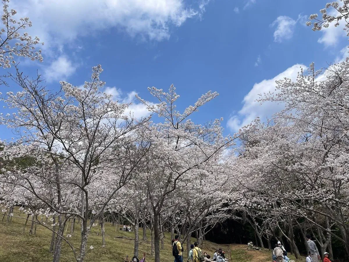 Ikoinomori Park 2