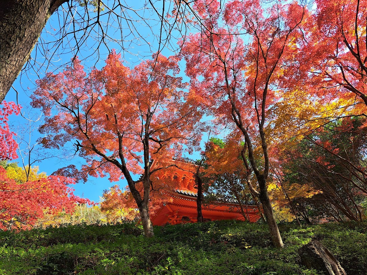 Mitaki Temple 4