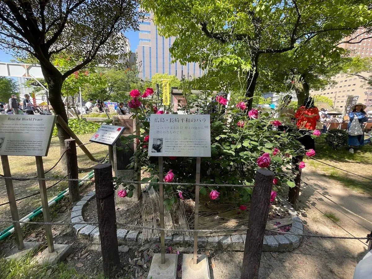 Rose for World Peace
