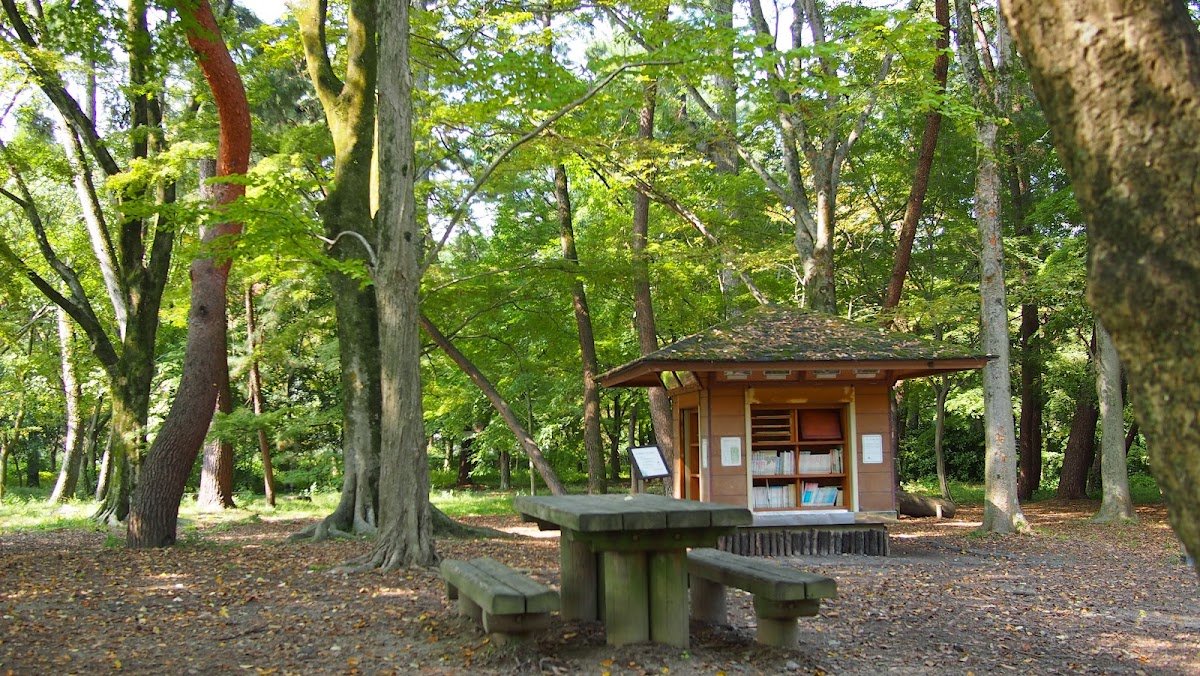 Haha-to-Ko-no-Mori Forest