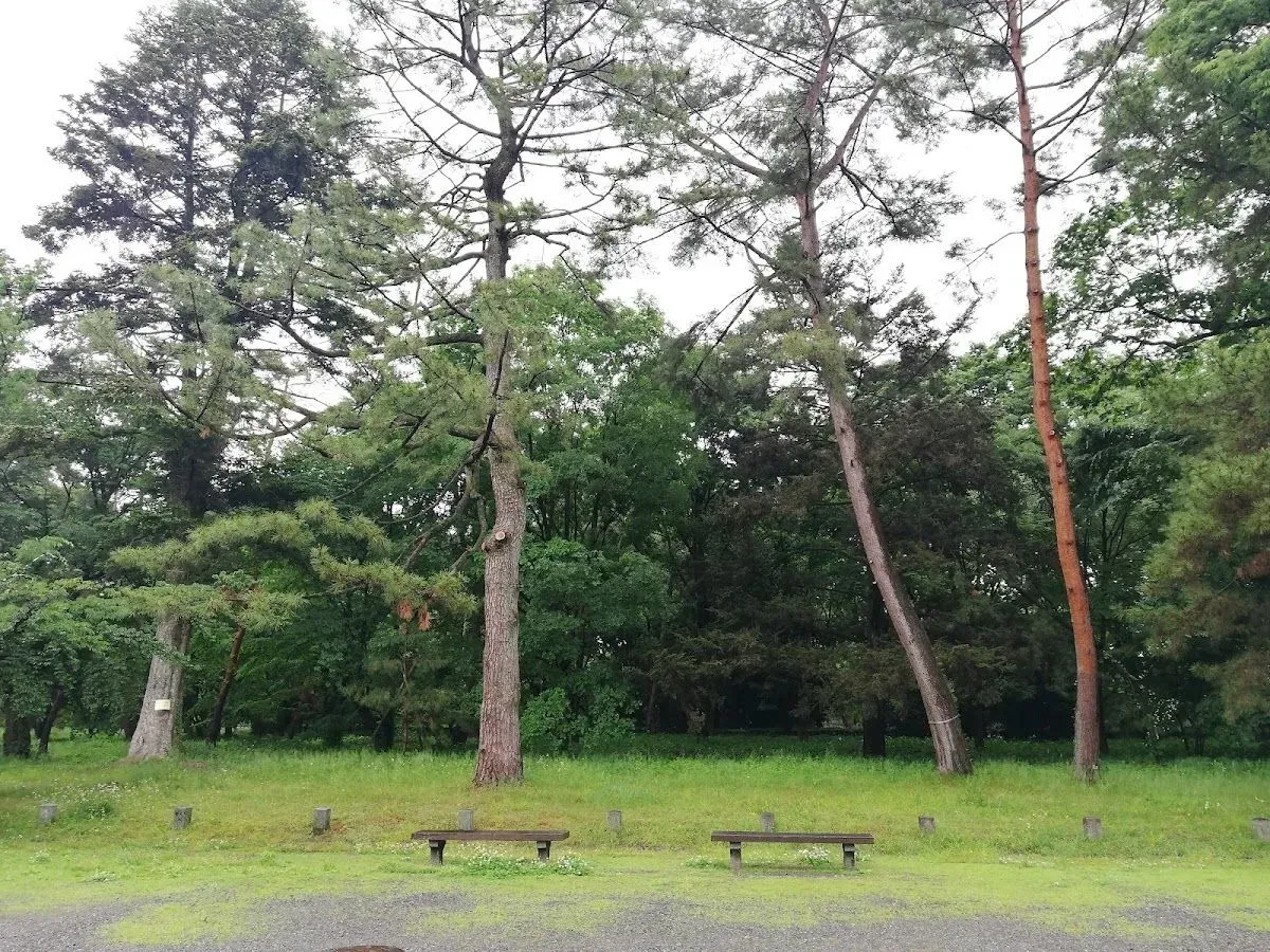 Haha-to-Ko-no-Mori Forest 4