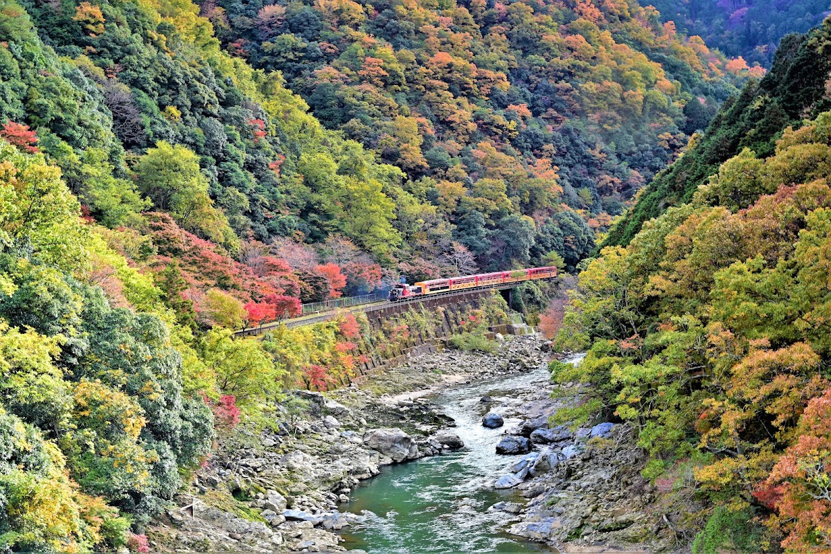 Kyoto Prefectural Hozukyo Natural Park