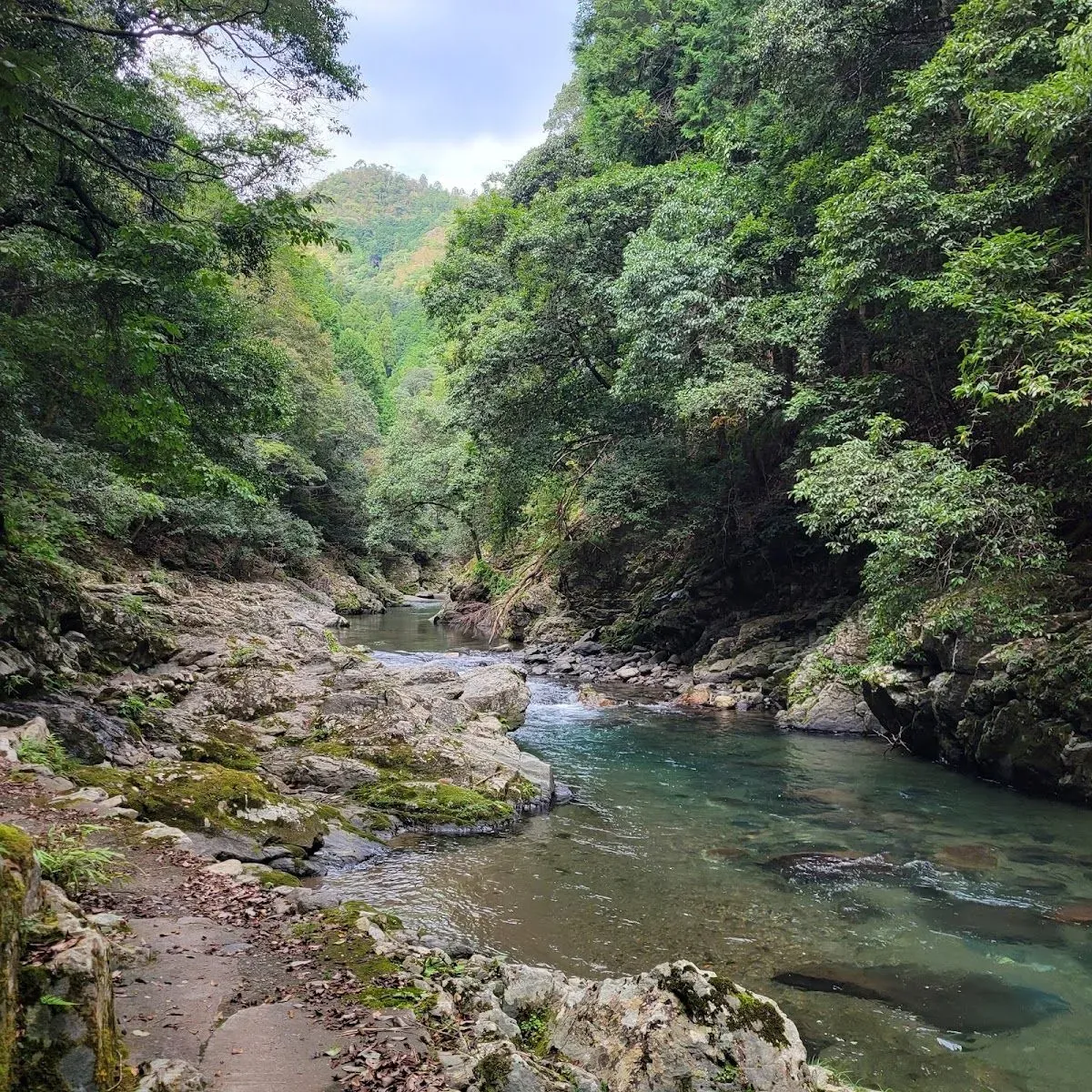 Kyoto Prefectural Hozukyo Natural Park 2