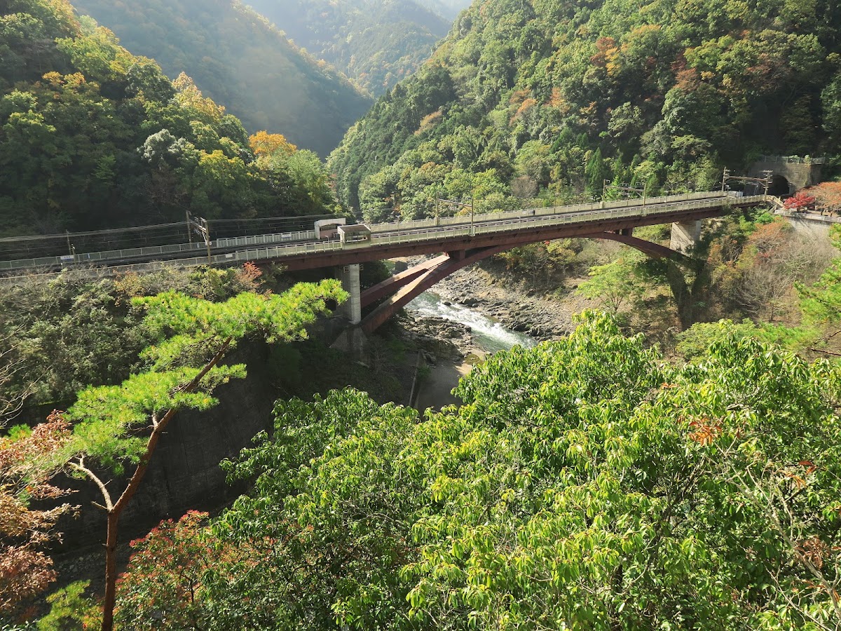 Kyoto Prefectural Hozukyo Natural Park 3