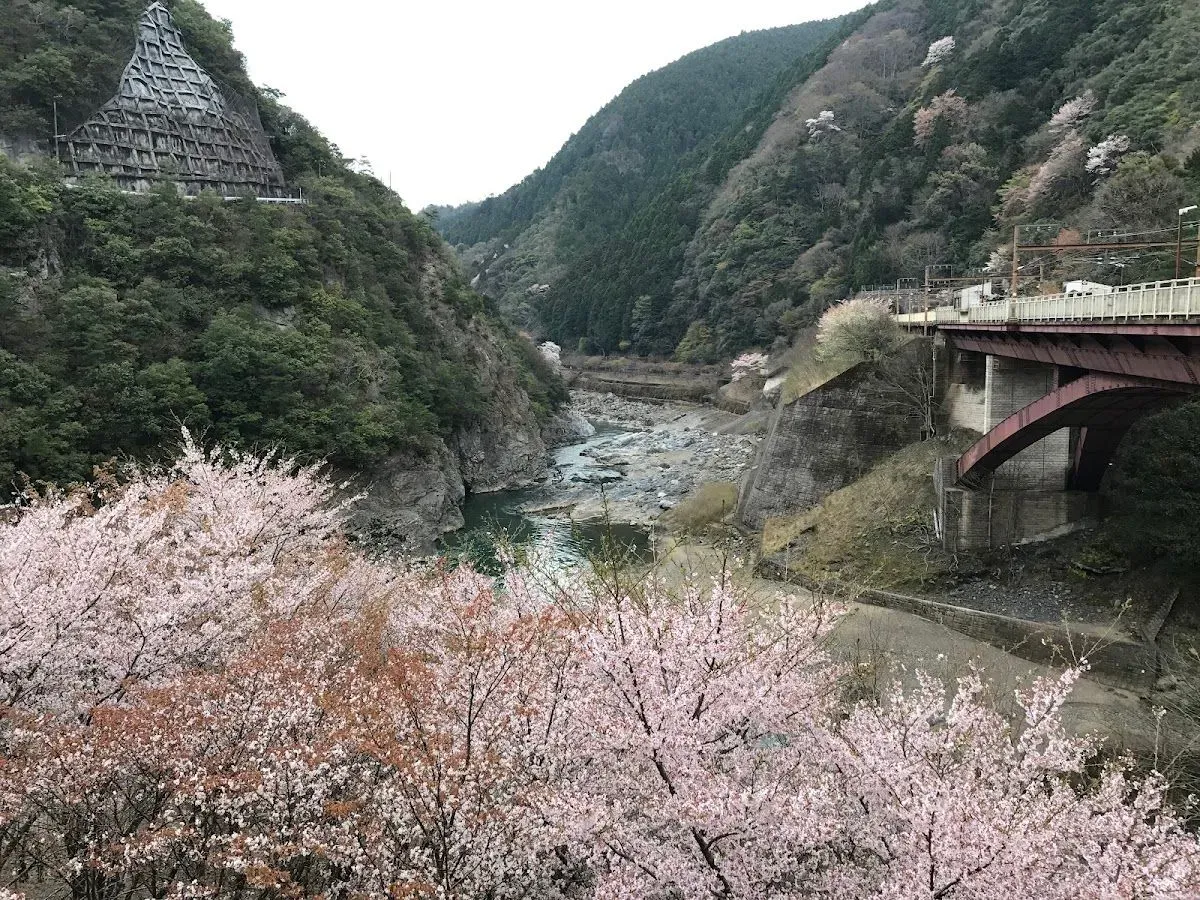 Kyoto Prefectural Hozukyo Natural Park 4