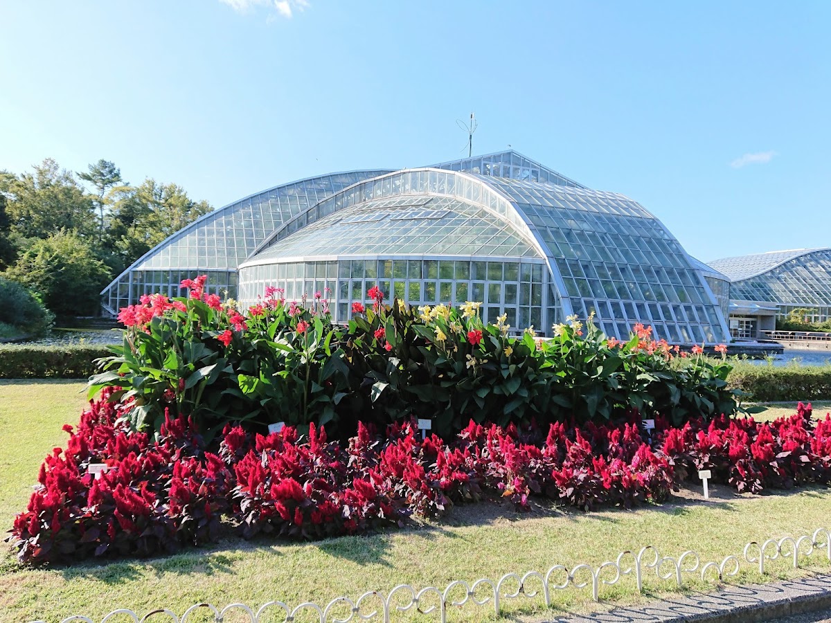 Kyoto Botanical Gardens 2