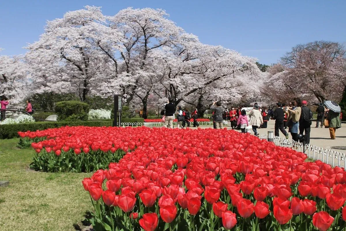 Kyoto Botanical Gardens 3