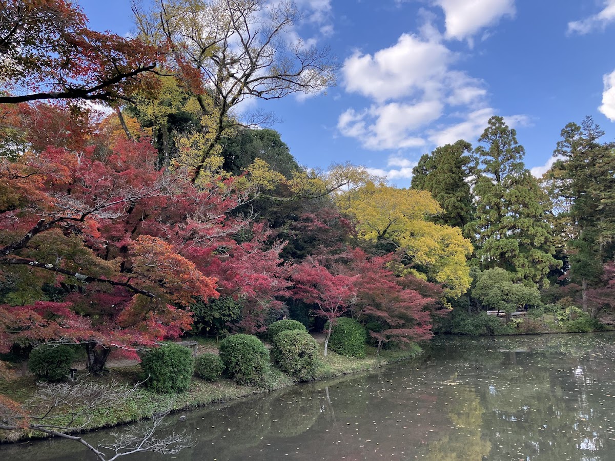 Kyoto Botanical Gardens 4