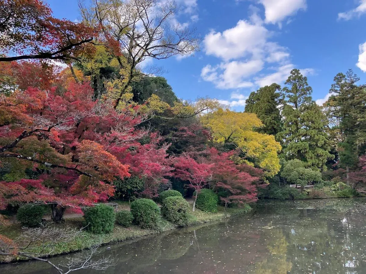 Kyoto Botanical Gardens 4