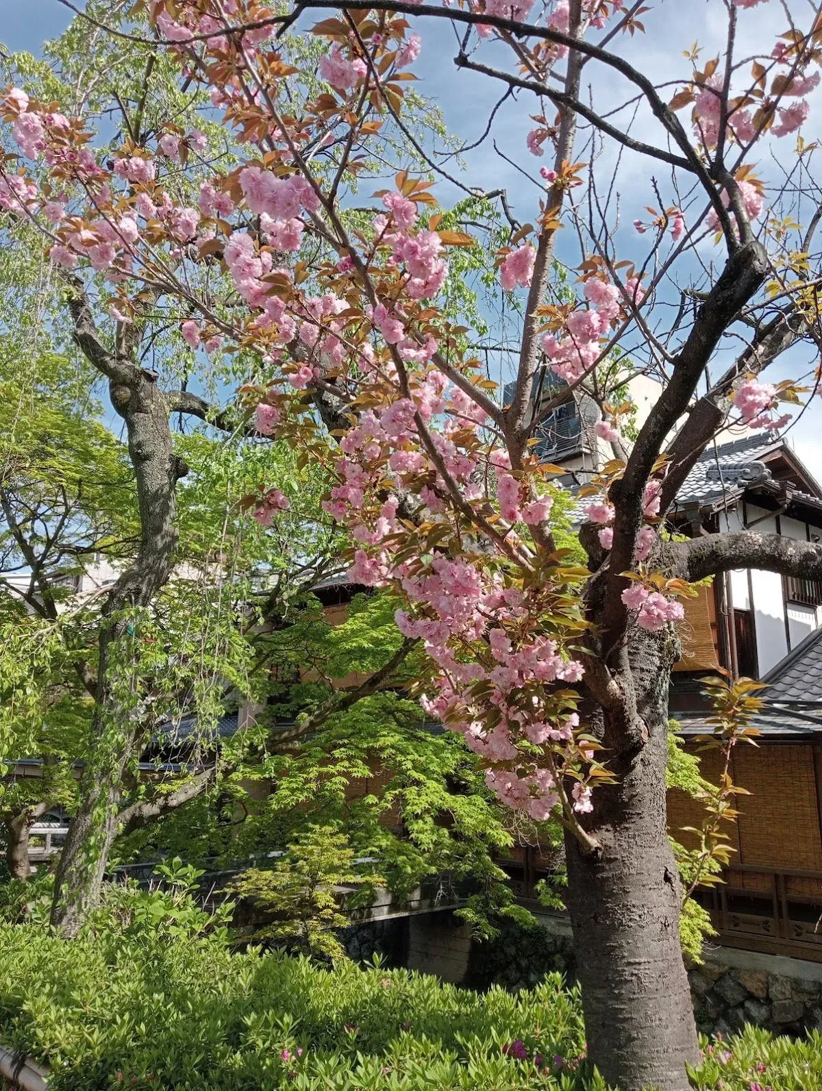 Gion 4