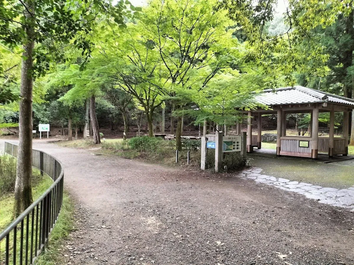 Wild bird forest 2
