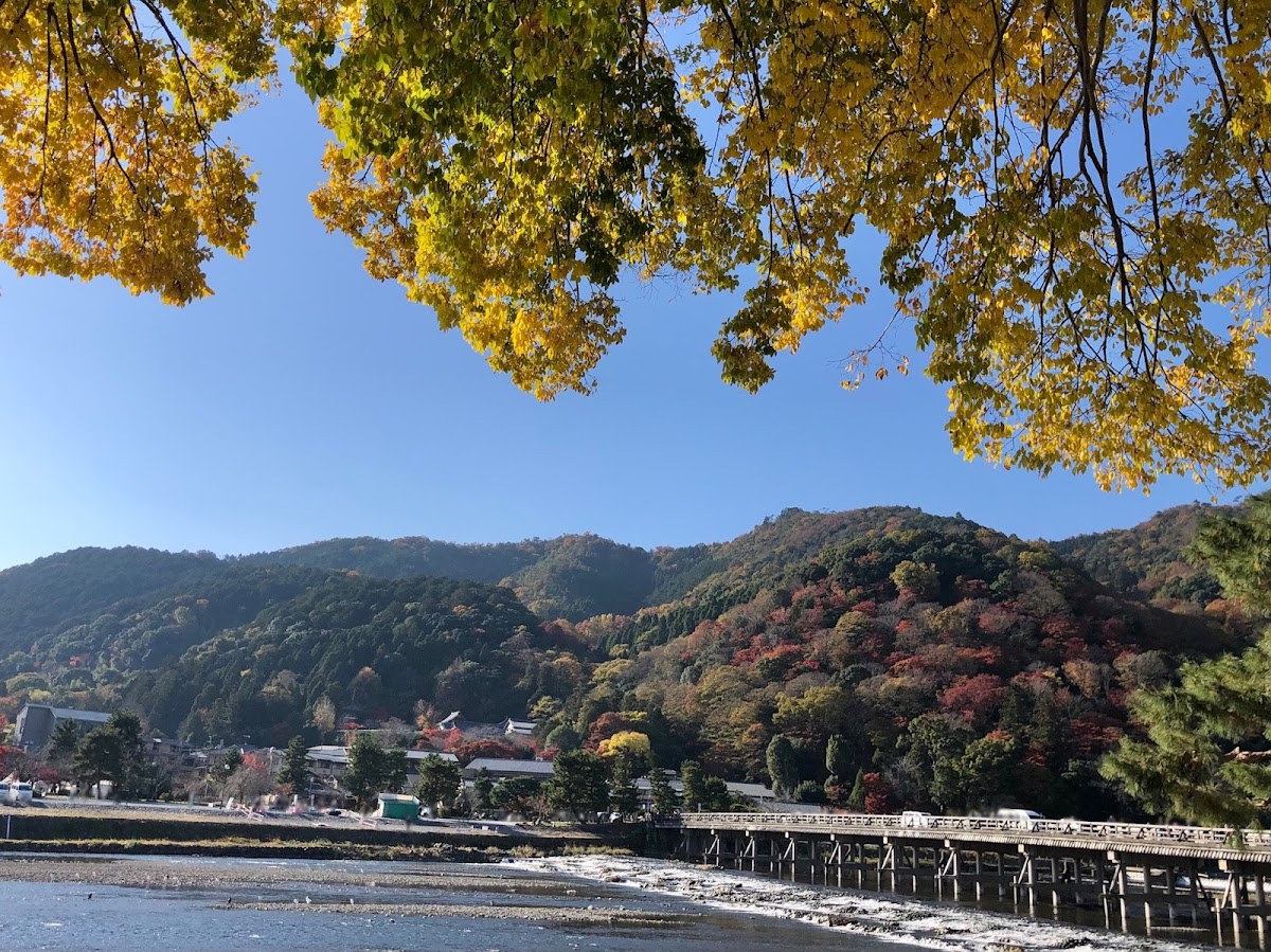 Arashiyama 2