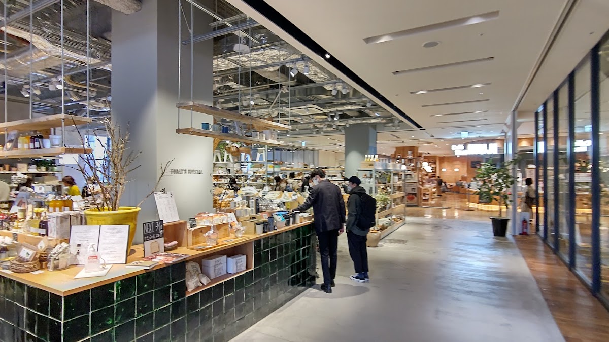 Kyoto BAL 3