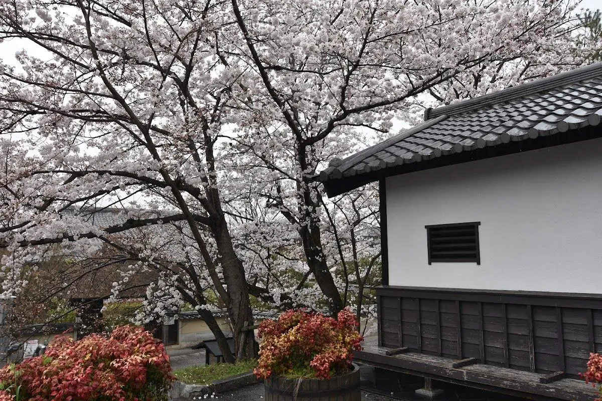 Kodaiji Park