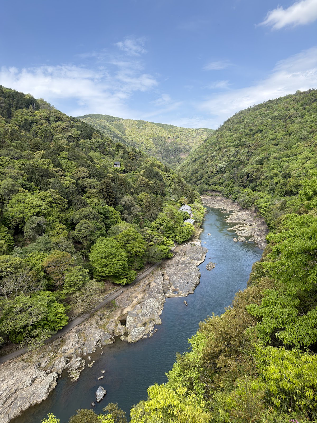 Arashiyama Park viewpoint