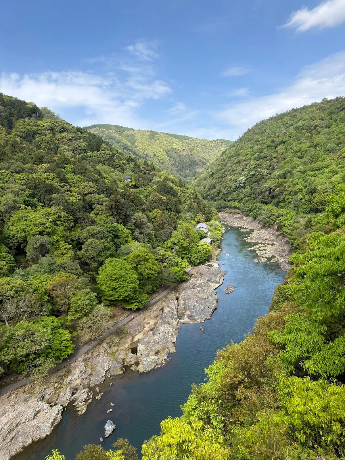 Arashiyama Park viewpoint