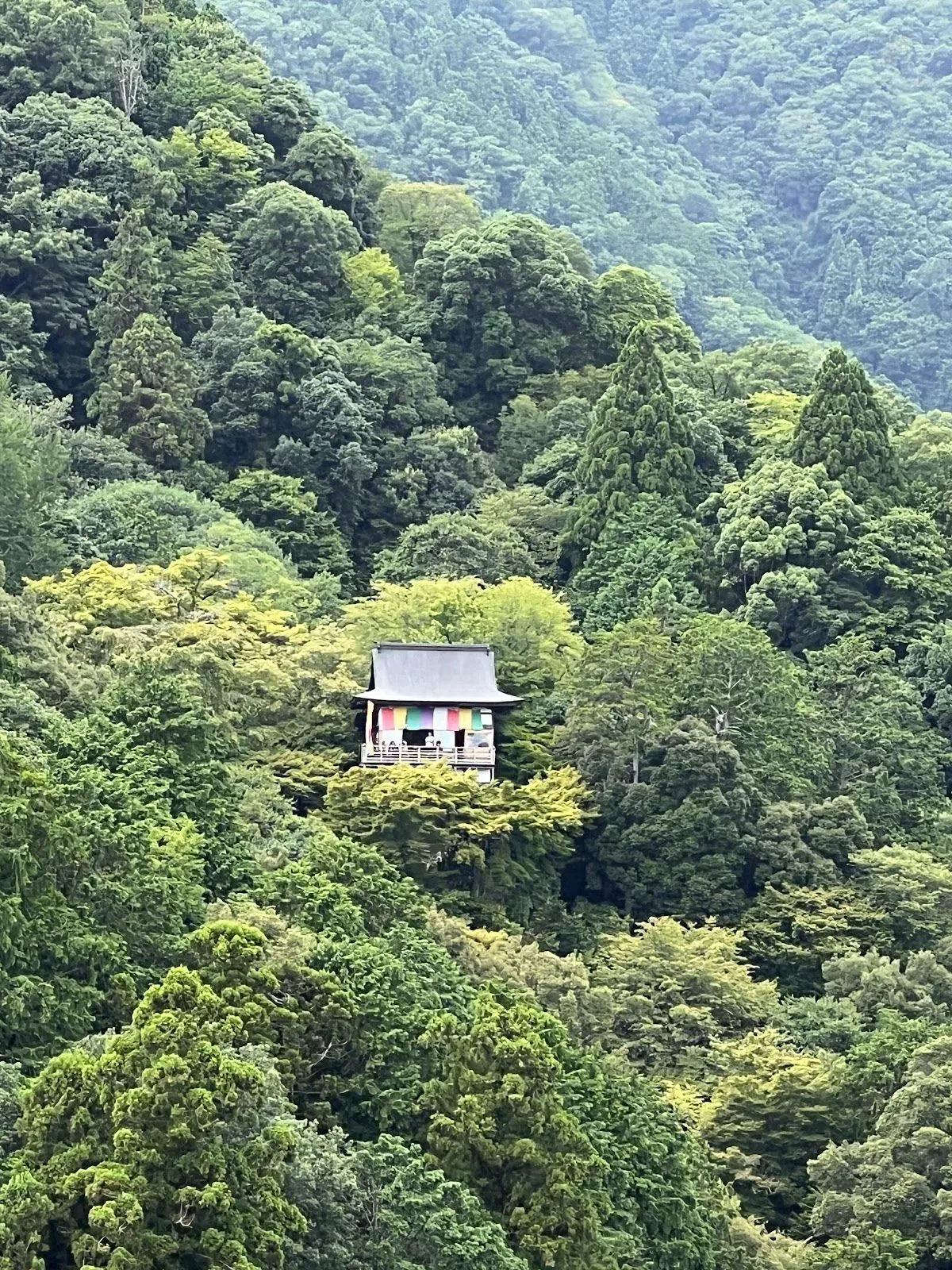 Arashiyama Park viewpoint 3