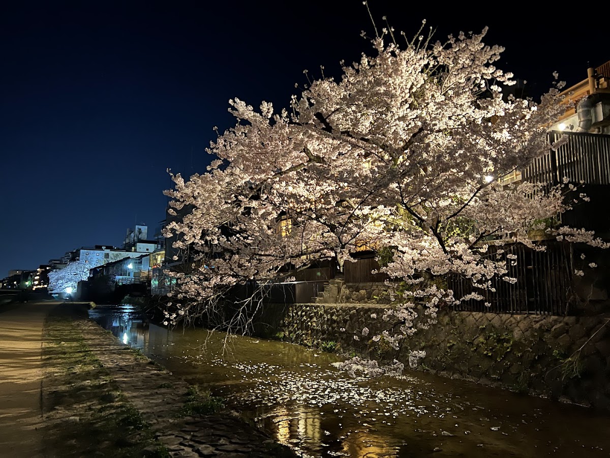 Pontocho Park 4