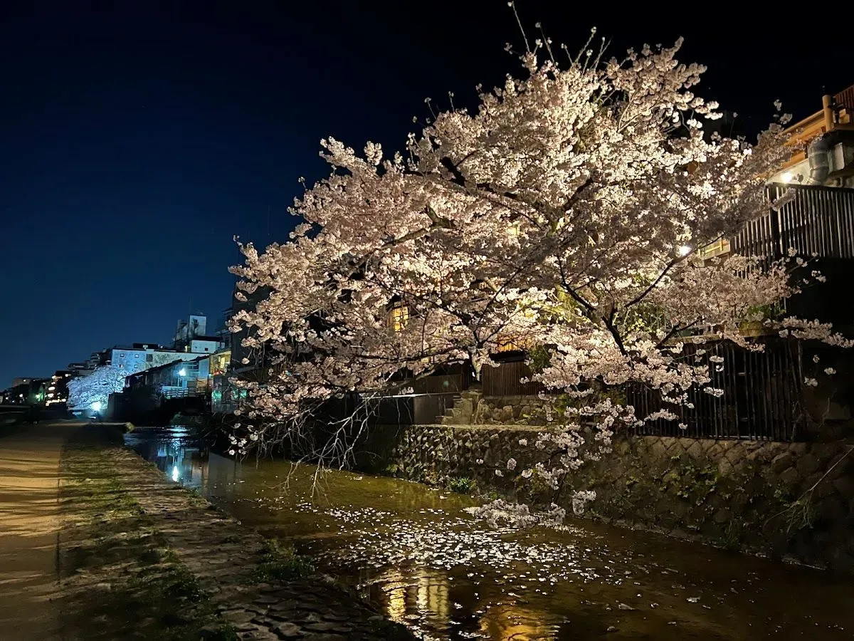 Pontocho Park 4