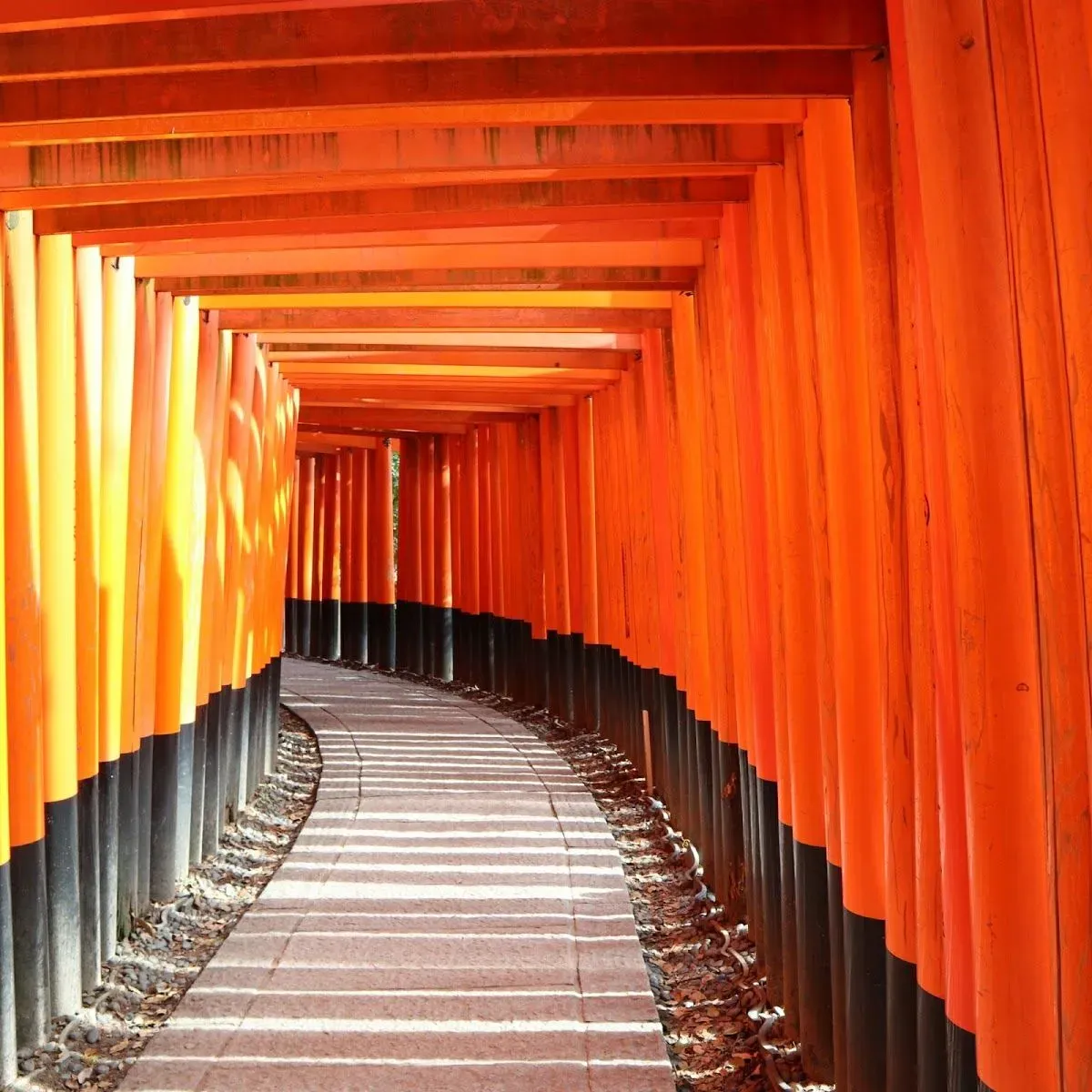 Senbon Torii (Thousand Torii Gates) 2